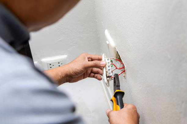 Best Emergency Electrician Near Me  in Plainwell, MI